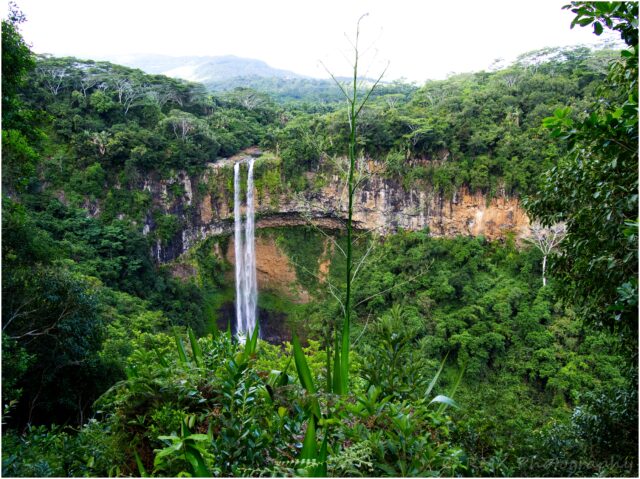 Mauritius – Traumstände und Zuckerrohr